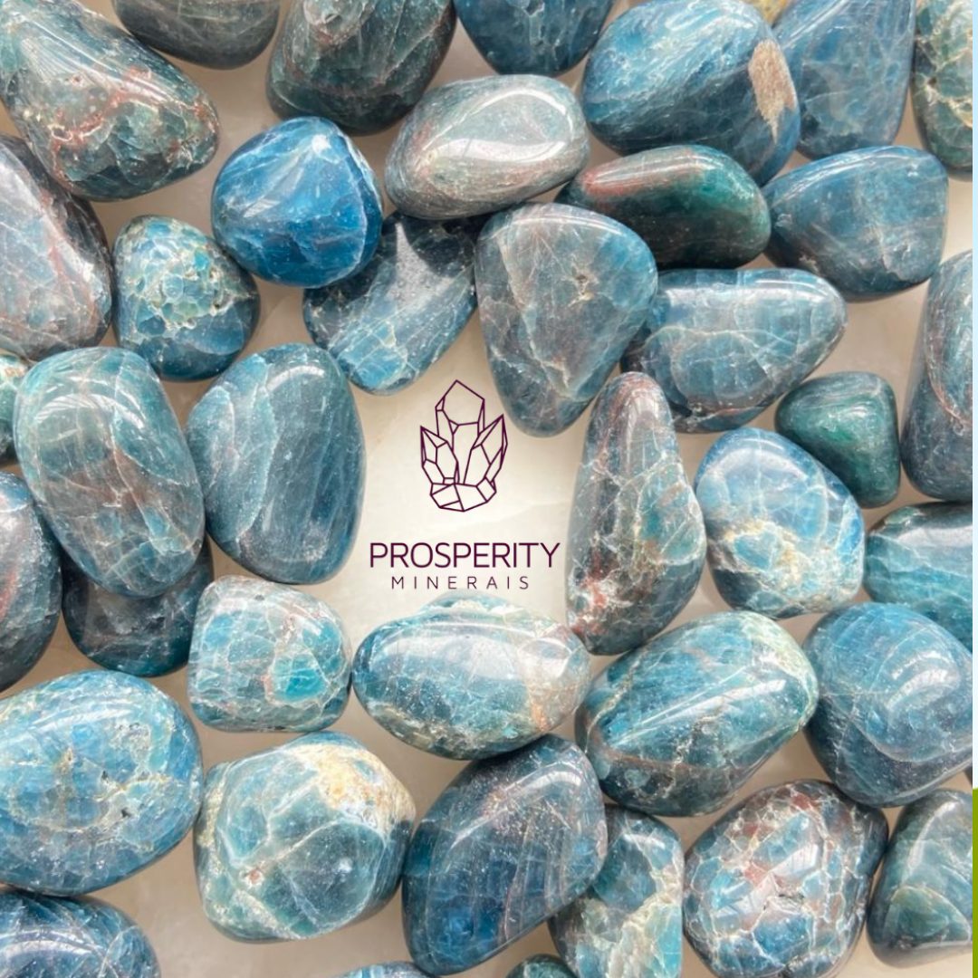 Apatita Rolada uma unidade - Prosperity Minerais